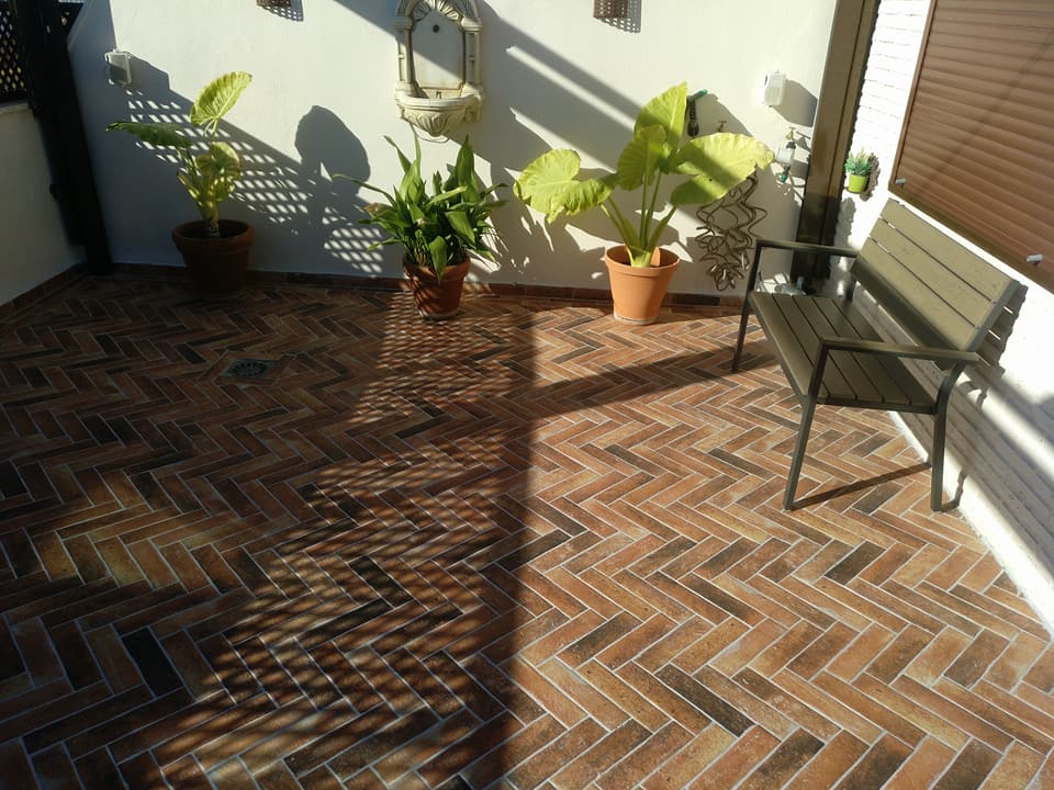 Imagen de un patio con plantas