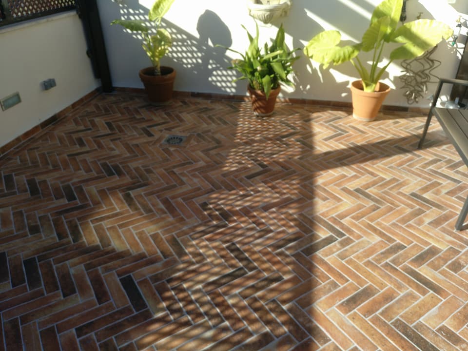 Imagen de patio con plantas